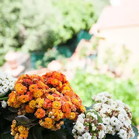 La Casetta Di Ricky شقة *